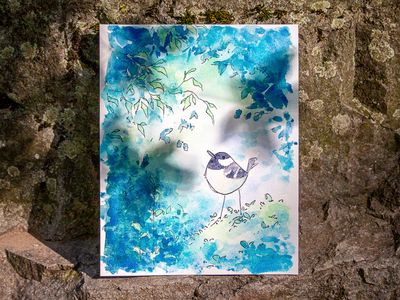 Pour le vivant : Mésange noire