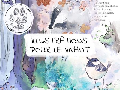 ILLUSTRATIONS POUR LE VIVANT