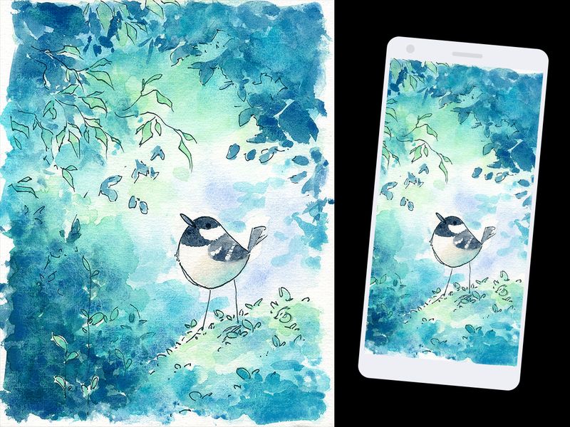 Mésange noire - wallpaper