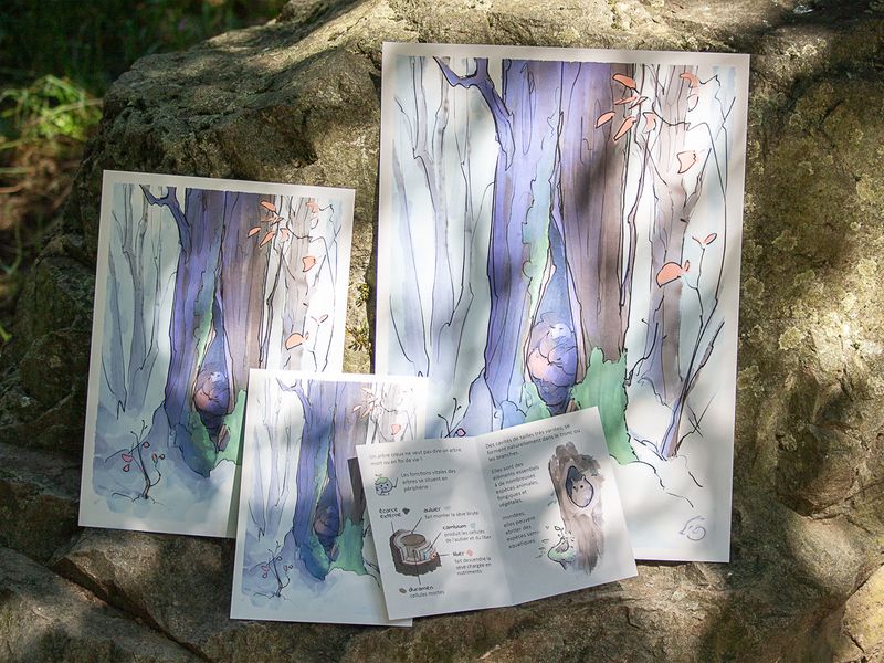 Pour le vivant : Print Arbre Creux