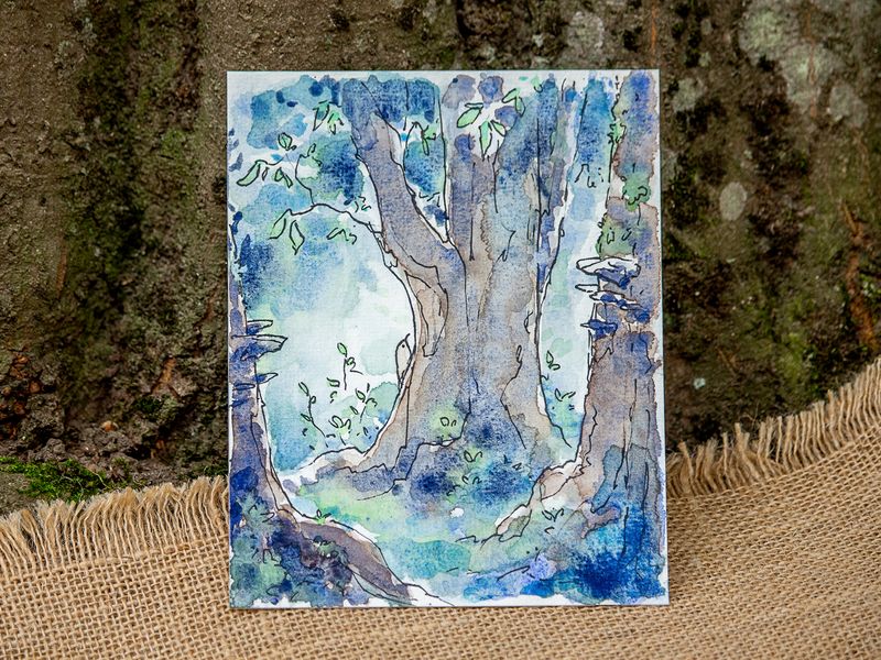 Pour le vivant : Forêt