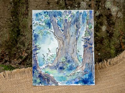 Pour le vivant : Forêt