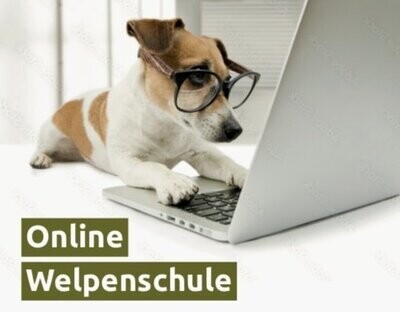 Online- Welpenkurs