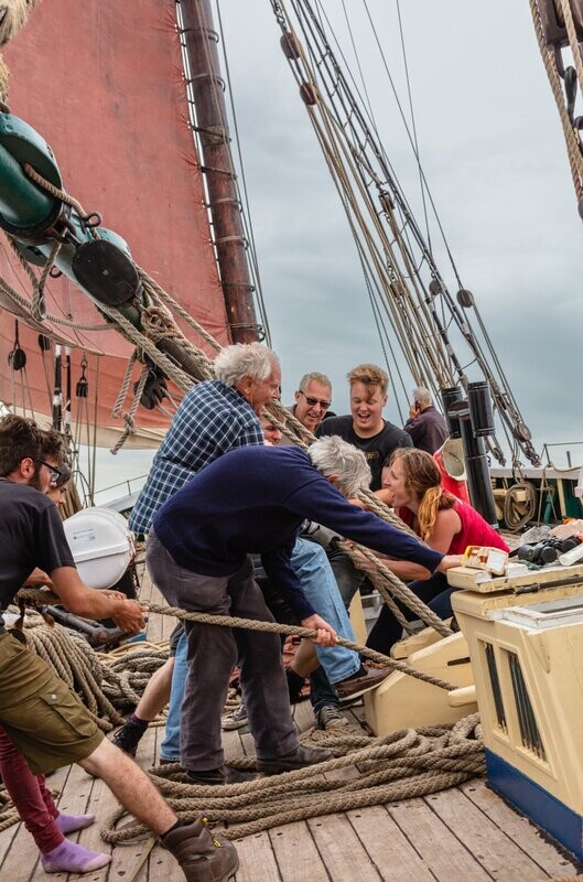 Harbouring Potential