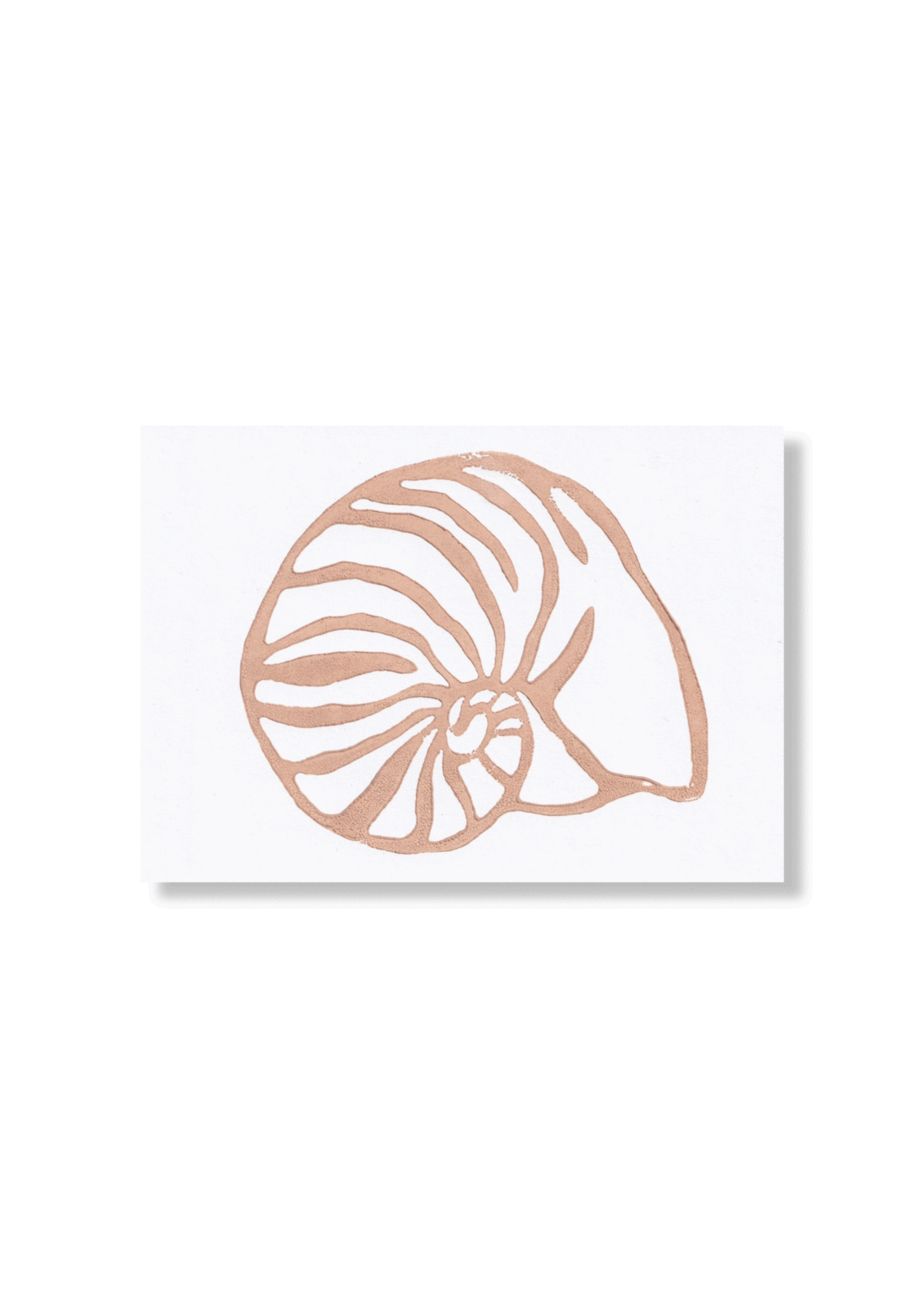 Zeeslak schelp