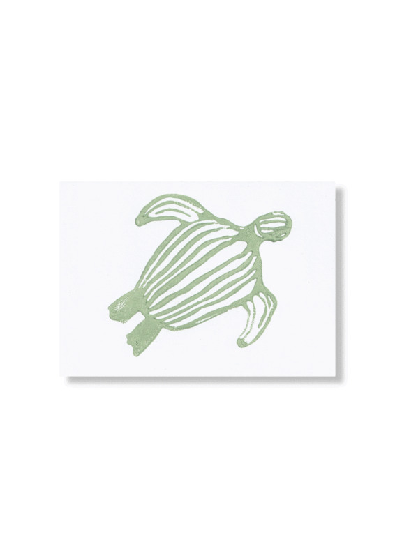 Zee schildpad