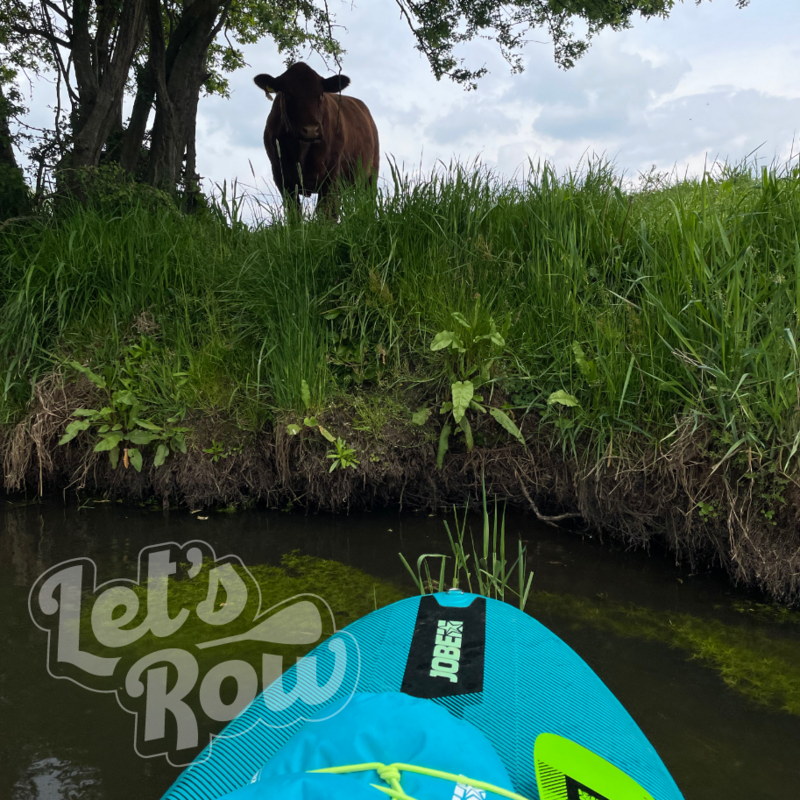 SUP route van Sint-Oedenrode naar Olland + 2 andere