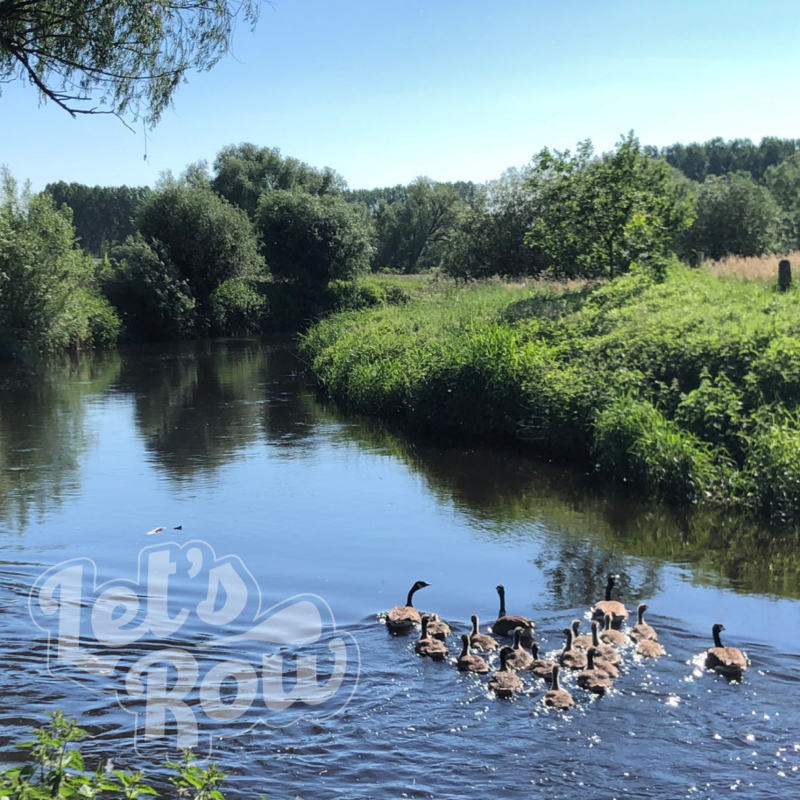 SUP route van Sint-Oedenrode naar Liemde + 2 andere