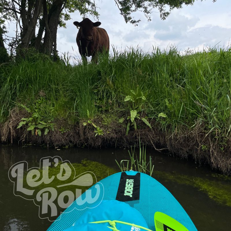 SUP route van Sint-Oedenrode naar Olland + 2 andere SUP route van Sint-Oedenrode naar Olland + 2 andere