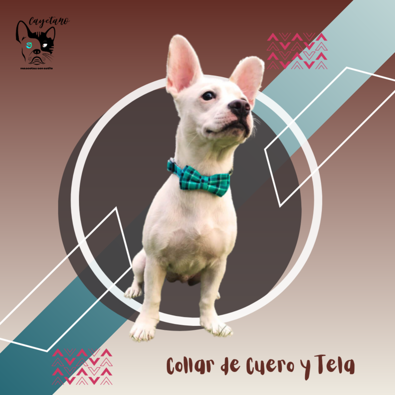 Collar de Cuero y Tela