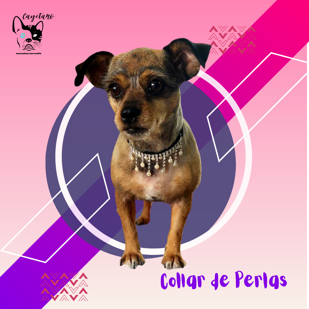 Collar  de perlas