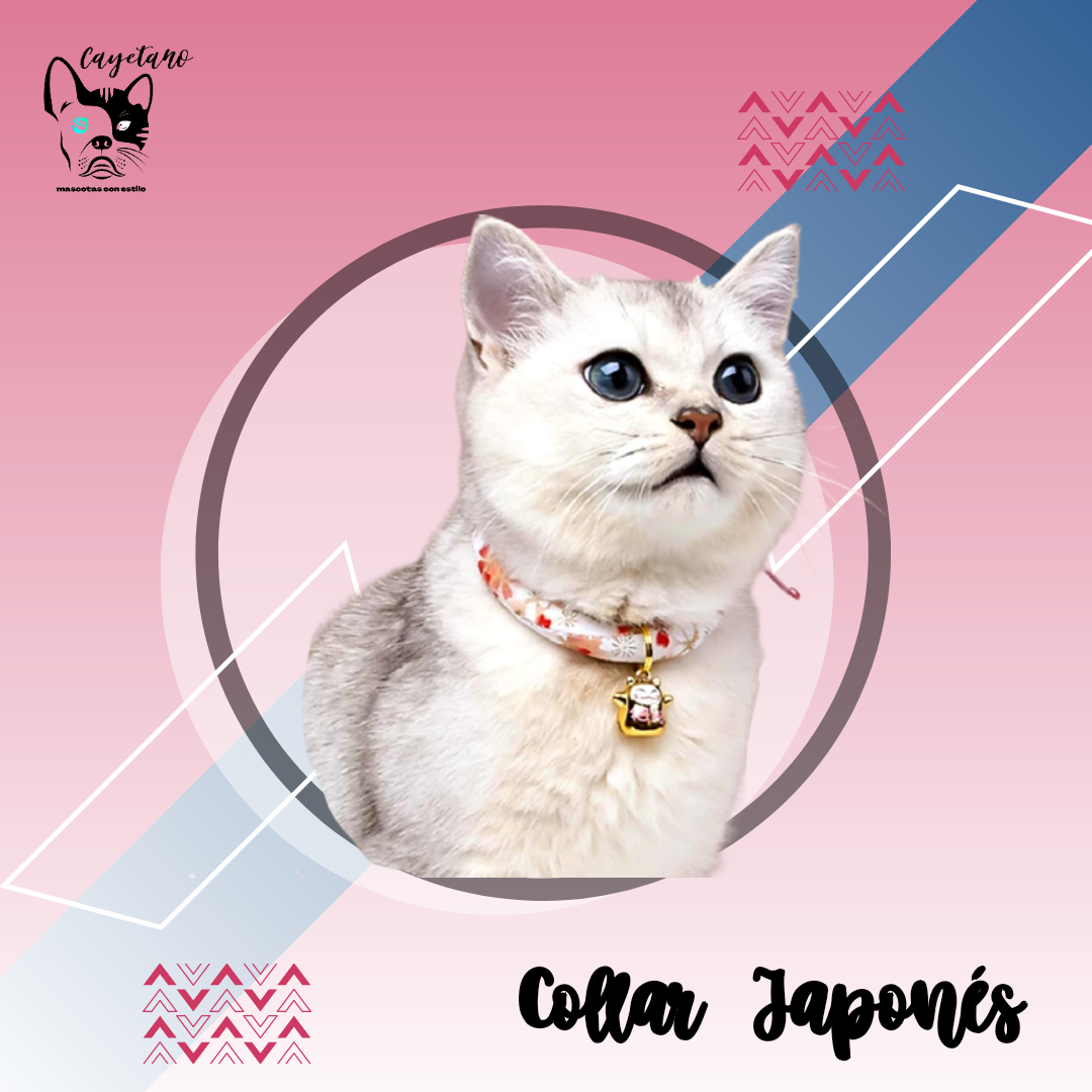 Collar Japones