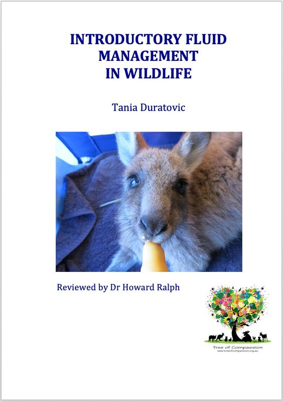 (revised) Introductory Fluid Management in Wildlife (2023)