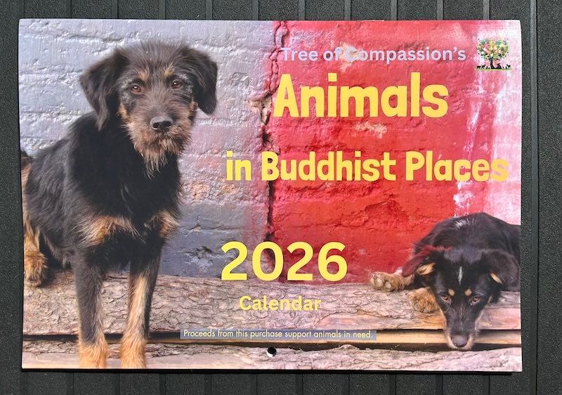 2026 Calendar “Animals in Buddhist Places”