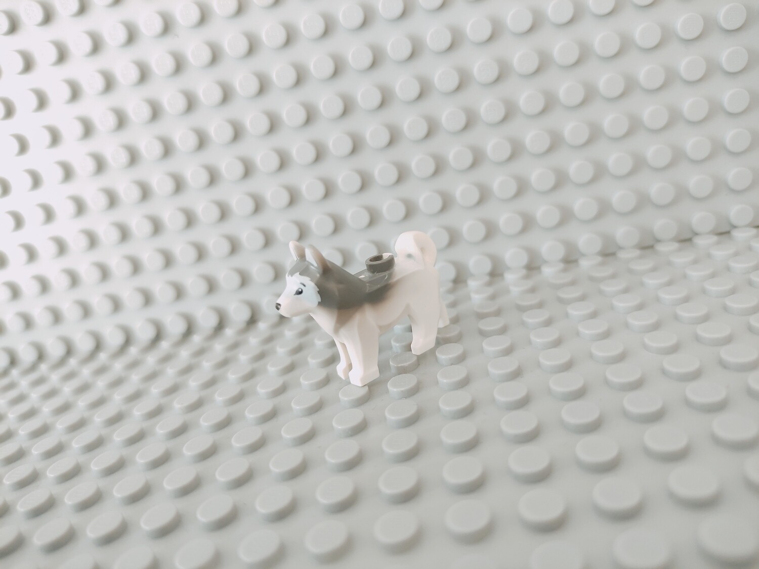 Lego Tiere Hund Husky