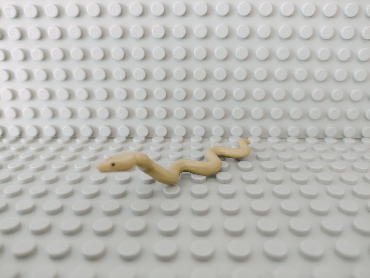 Lego Tiere Schlange