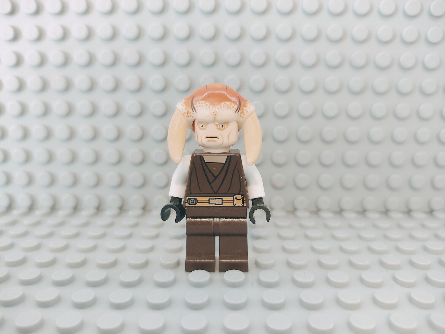 Lego Star Wars Minifigur Saesee Tiin