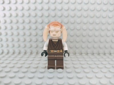 Lego Star Wars Minifigur Saesee Tiin