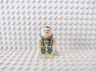 Lego Star Wars Minifigur Bistan
