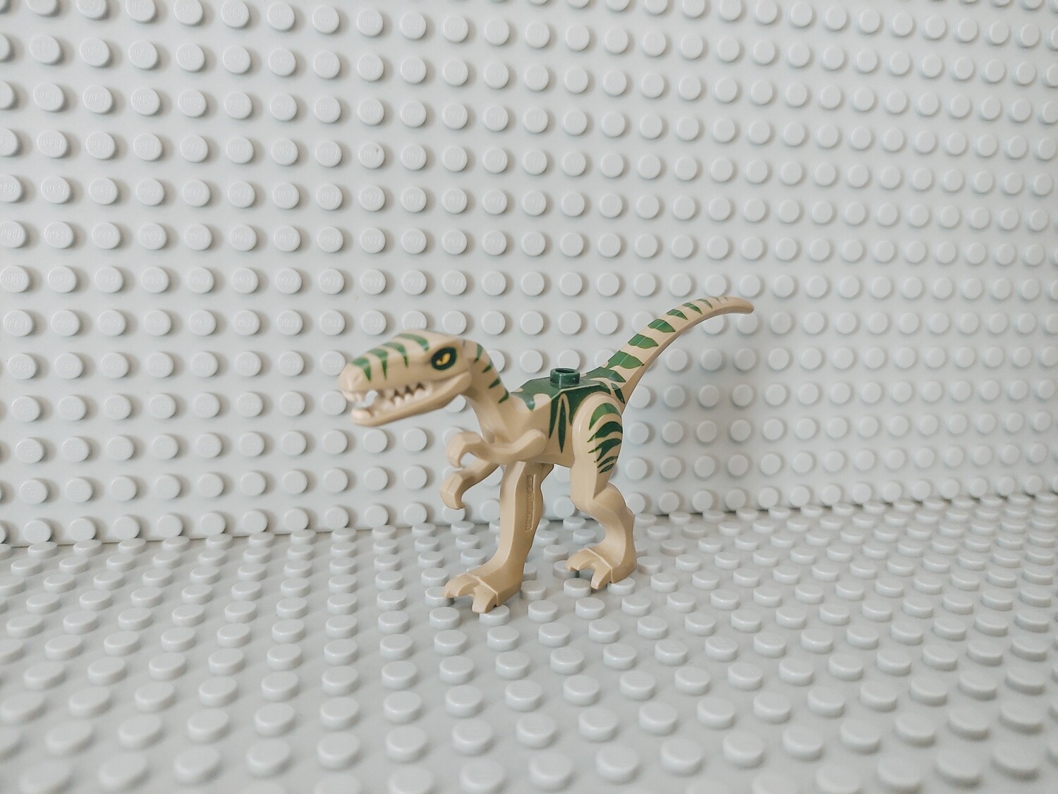 Lego Tiere Dinosaurier Coelophysis