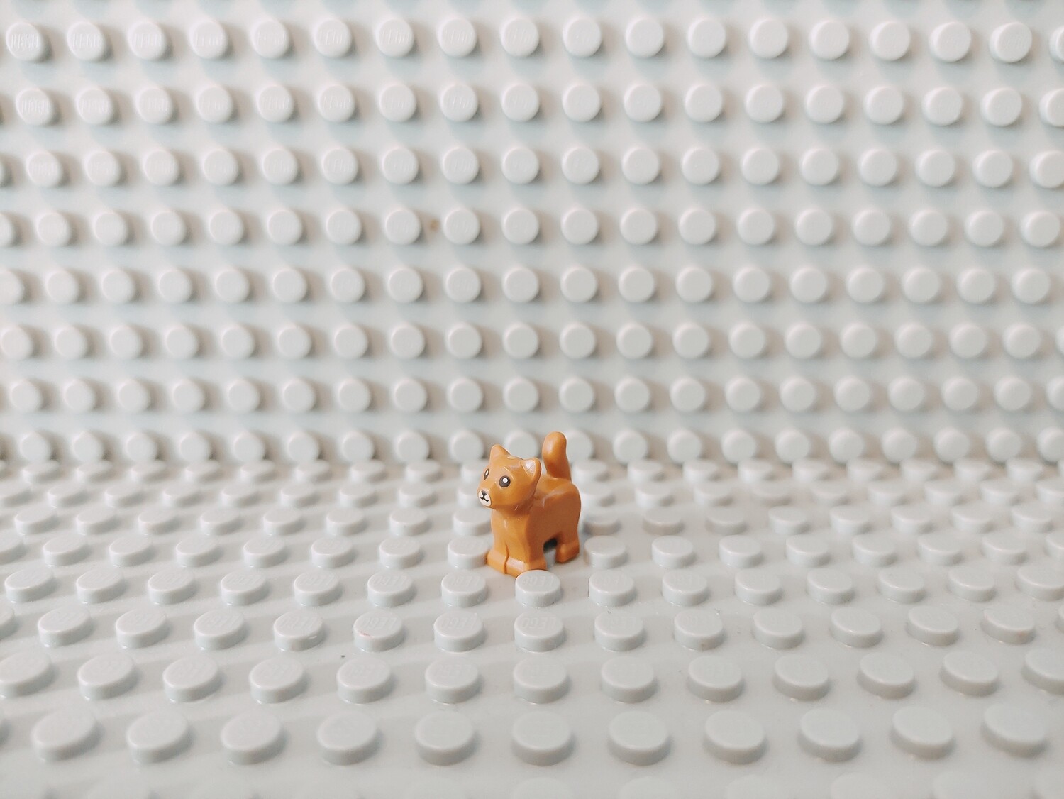 Lego Tiere Kätzchen orange