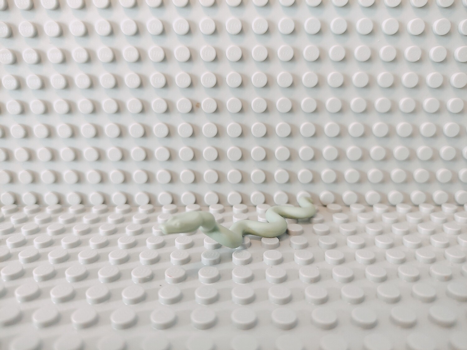 Lego Tiere Schlange Boa