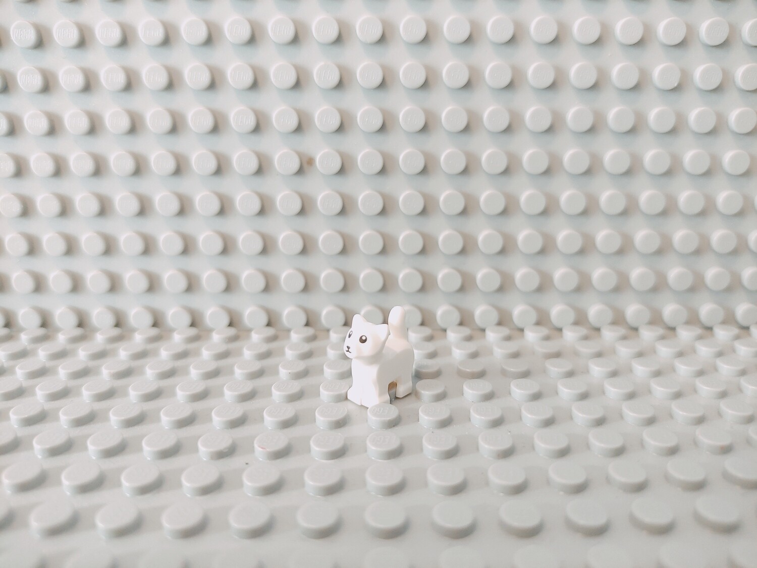 Lego Tiere Kätzchen weiss