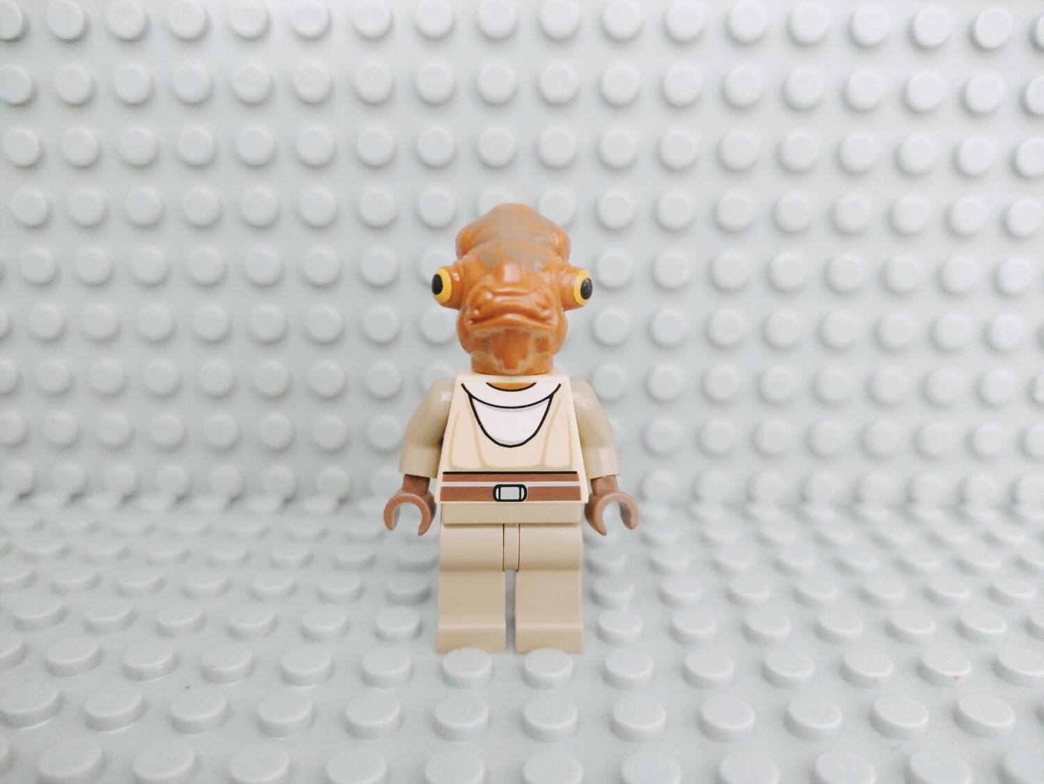 Lego Star Wars Minifigur Nahdar Vebb