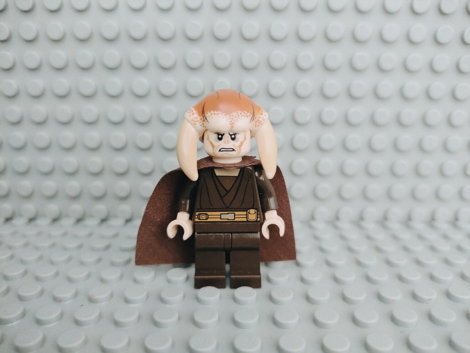Lego Star Wars Minifigur Saesee Tiin