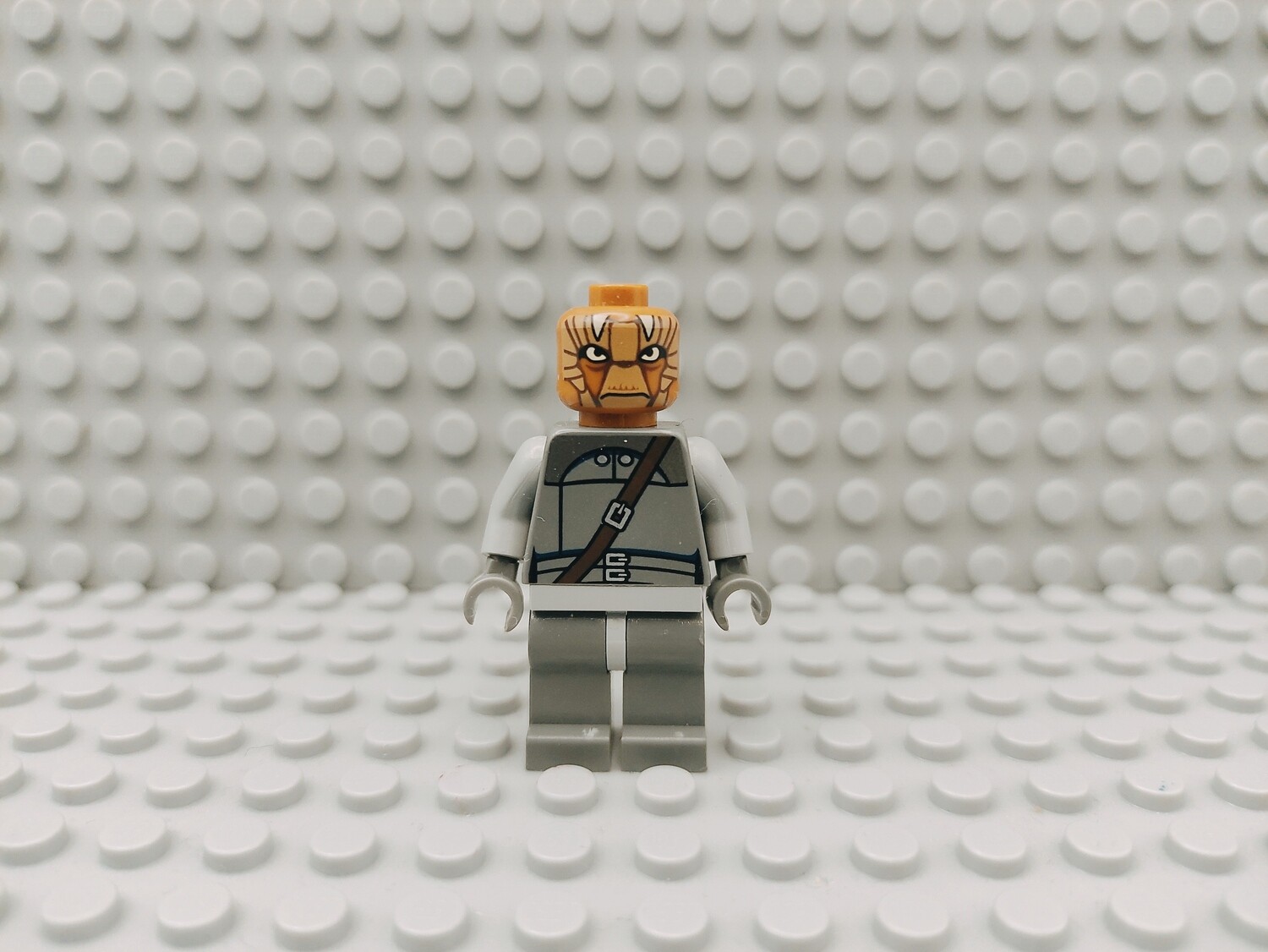 Lego Star Wars Minifigur Nikto Guard