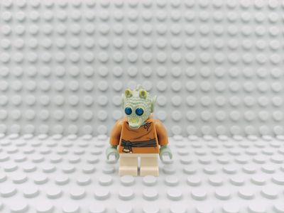 Lego Star Wars Minifigur Wald