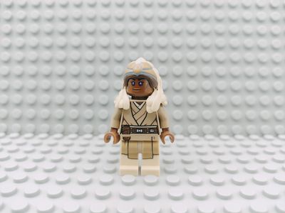 Lego Star Wars Minifigur Stass Allie