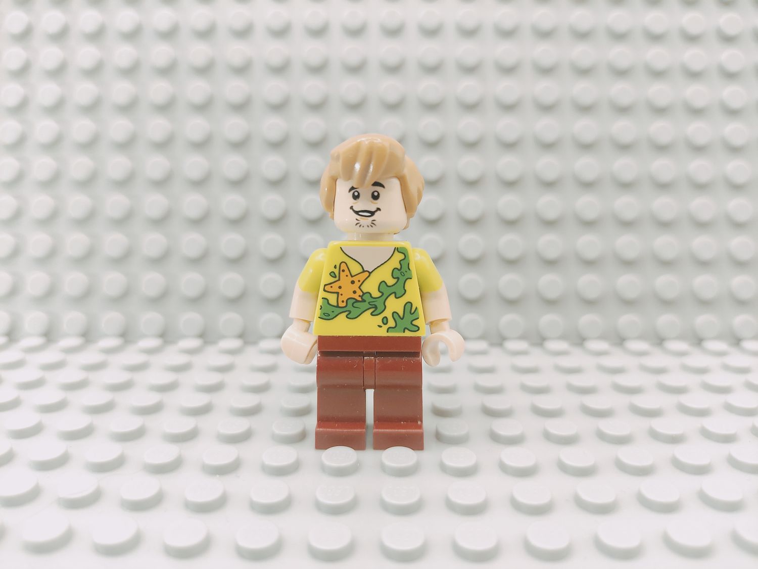 Lego Scooby Doo Minifigur Shaggy Rogers