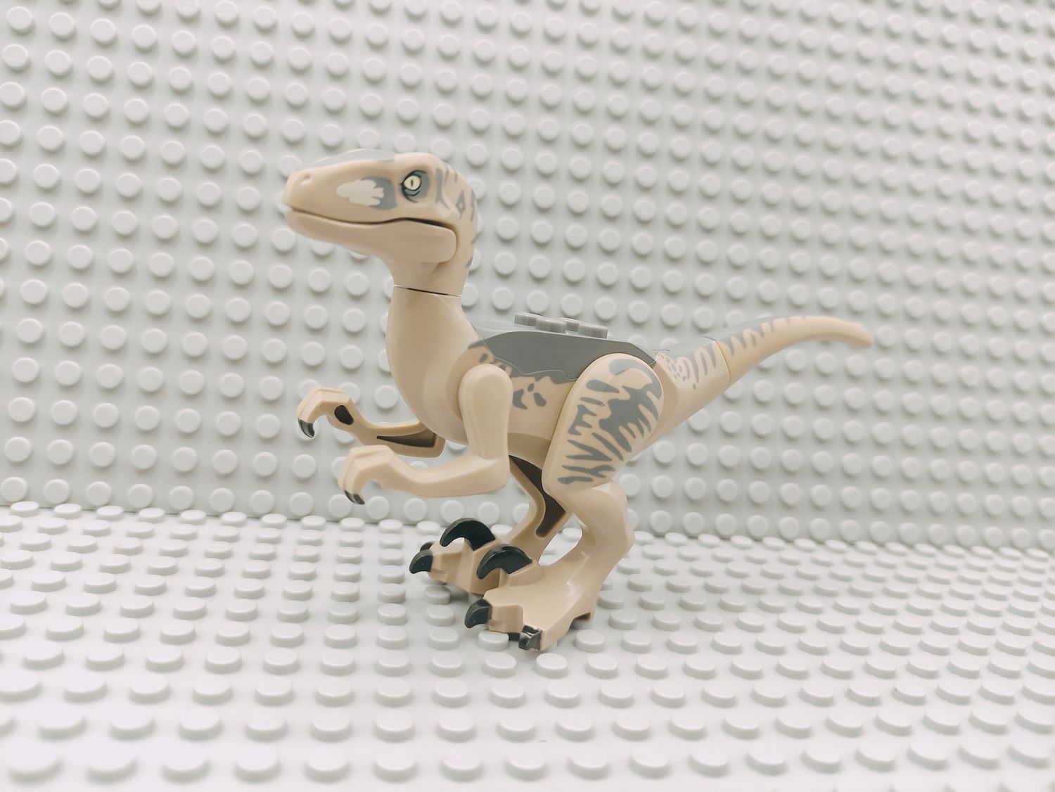 Lego Tiere Dinosaurier Velociraptor