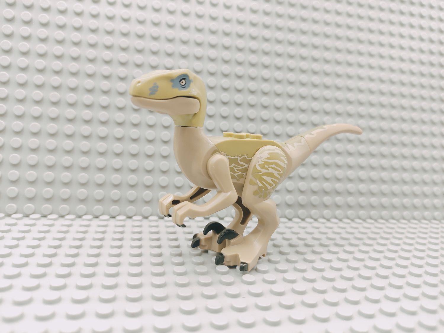 Lego Tiere Dinosaurier Velociraptor