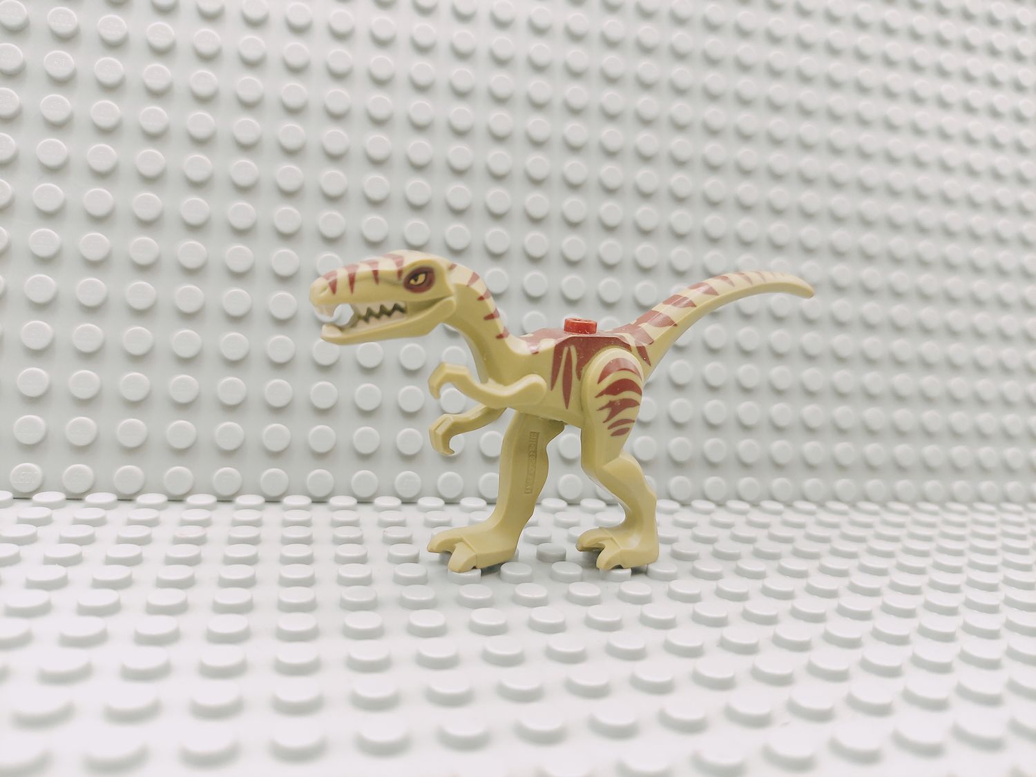 Lego Tiere Dinosaurier Coelophysis
