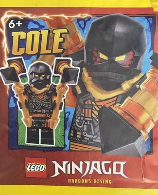 Lego Ninjago Minifigur Cole Polybag