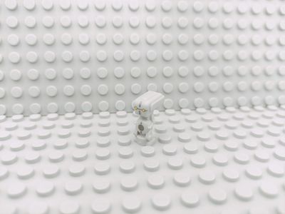 Lego Star Wars Minifigur Todo 360