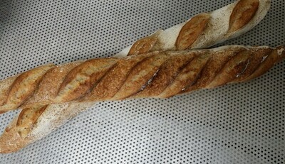 Ekologisk Fransk baguette, surdeg