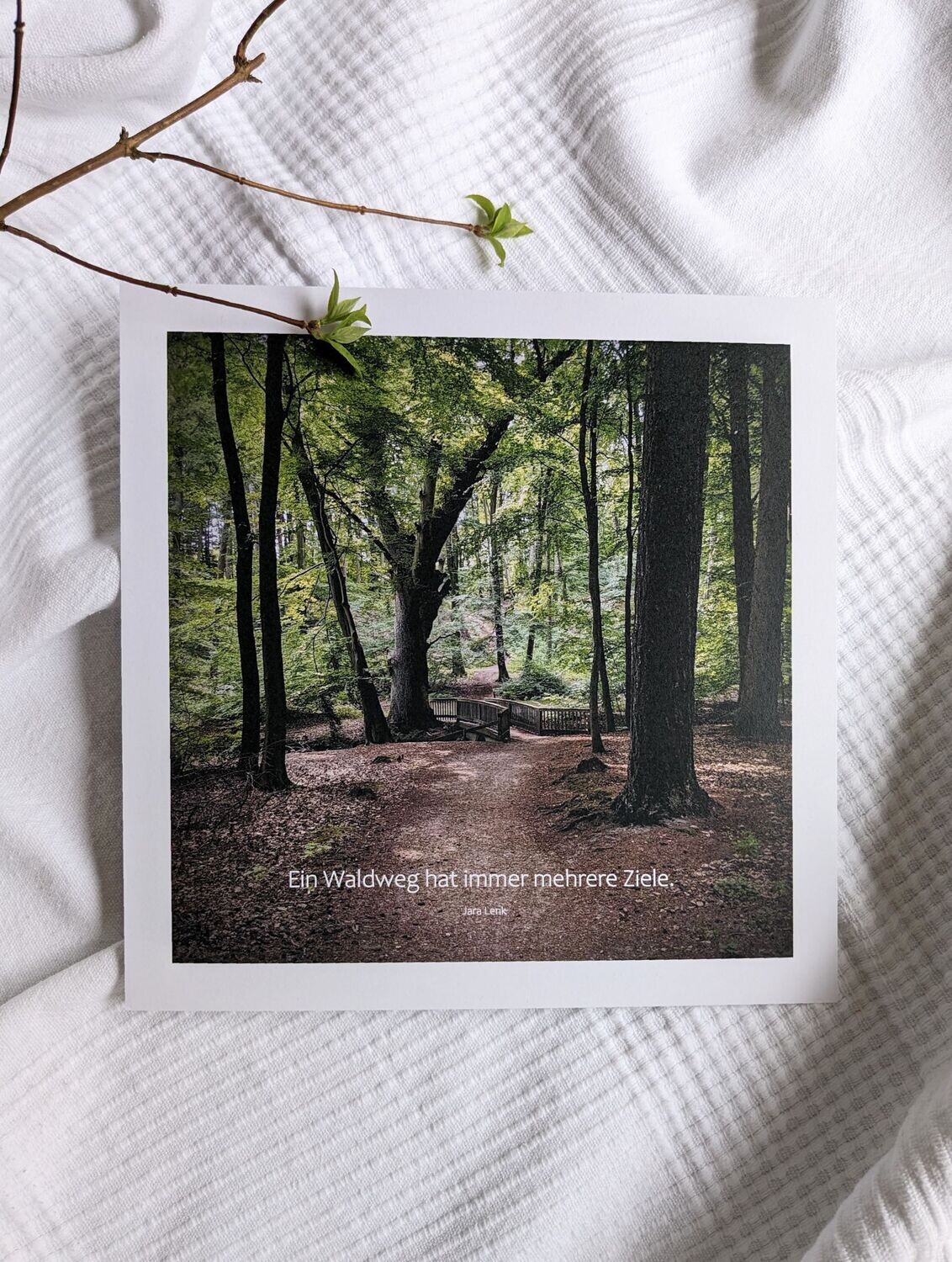 Bild 'Waldweg' 23 x 23 cm