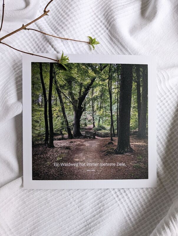 Bild 'Waldweg' 23 x 23 cm