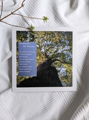 Bild 'Weisheiten der Bäume' 23 x 23 cm
