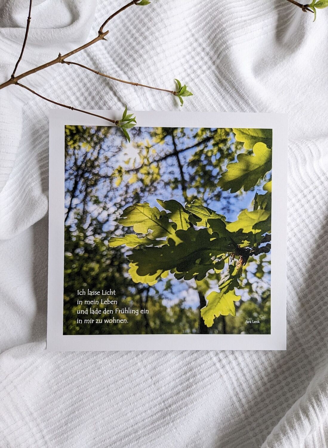 Bild 'Frühling' 23 x 23 cm