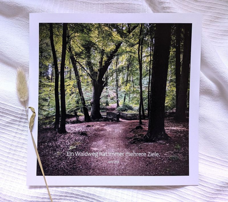 Bild 'Waldweg' 25 x 25 cm Bild 'Waldweg' 25 x 25 cm