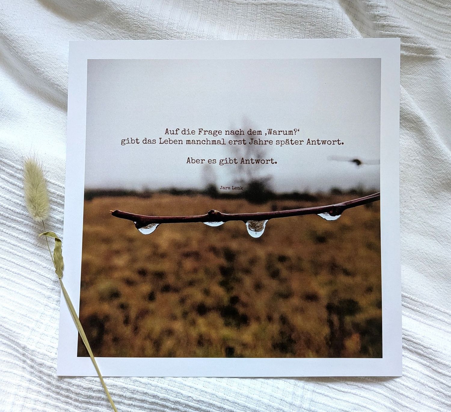 Bild 'Warum' 25 x 25 cm