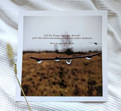 Bild 'Warum' 25 x 25 cm