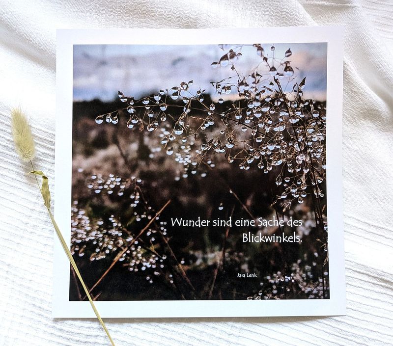 Bild 'Wunder' 25 x 25 cm Bild 'Wunder' 25 x 25 cm