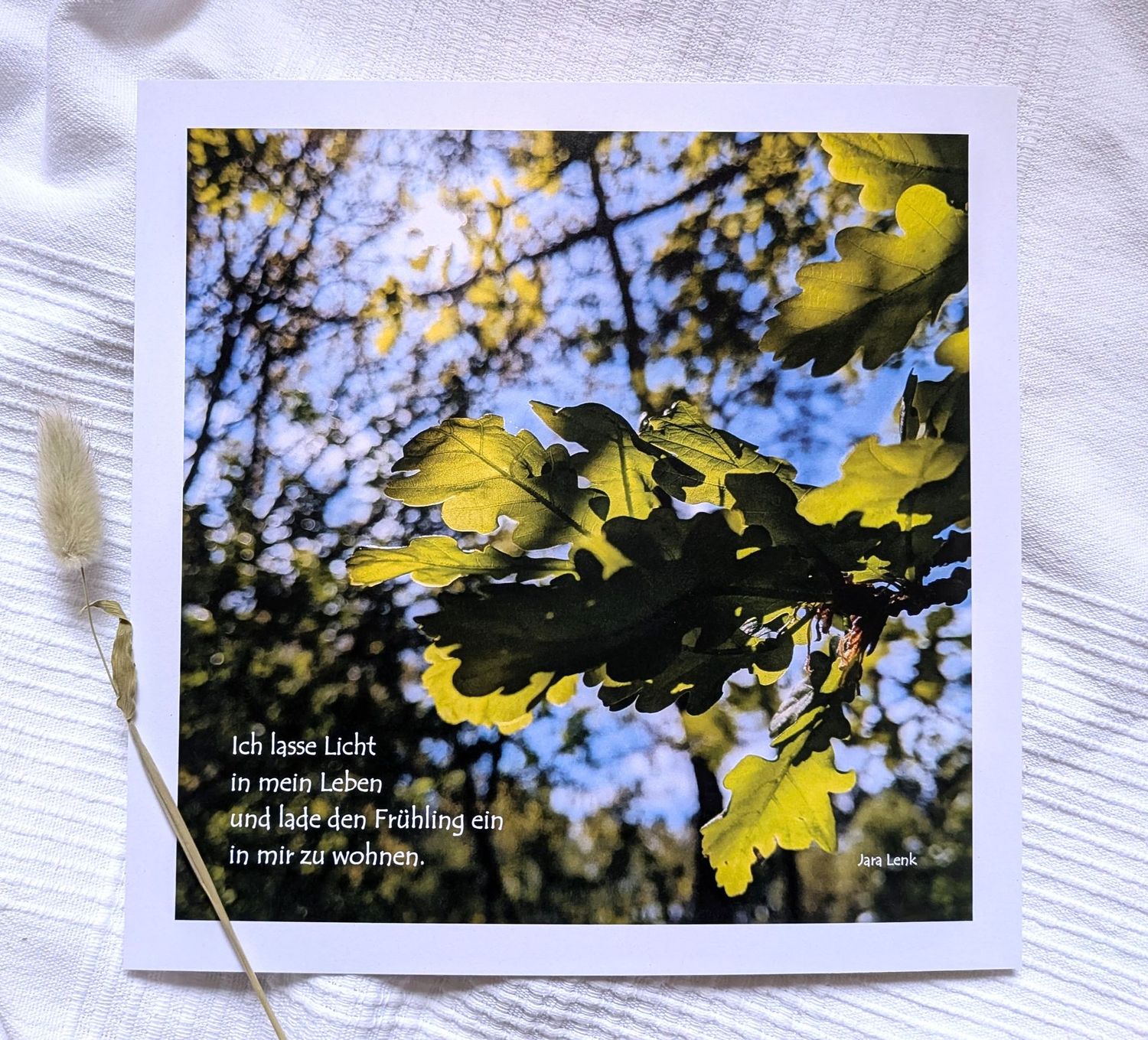 Bild 'Frühling' 25 x 25 cm