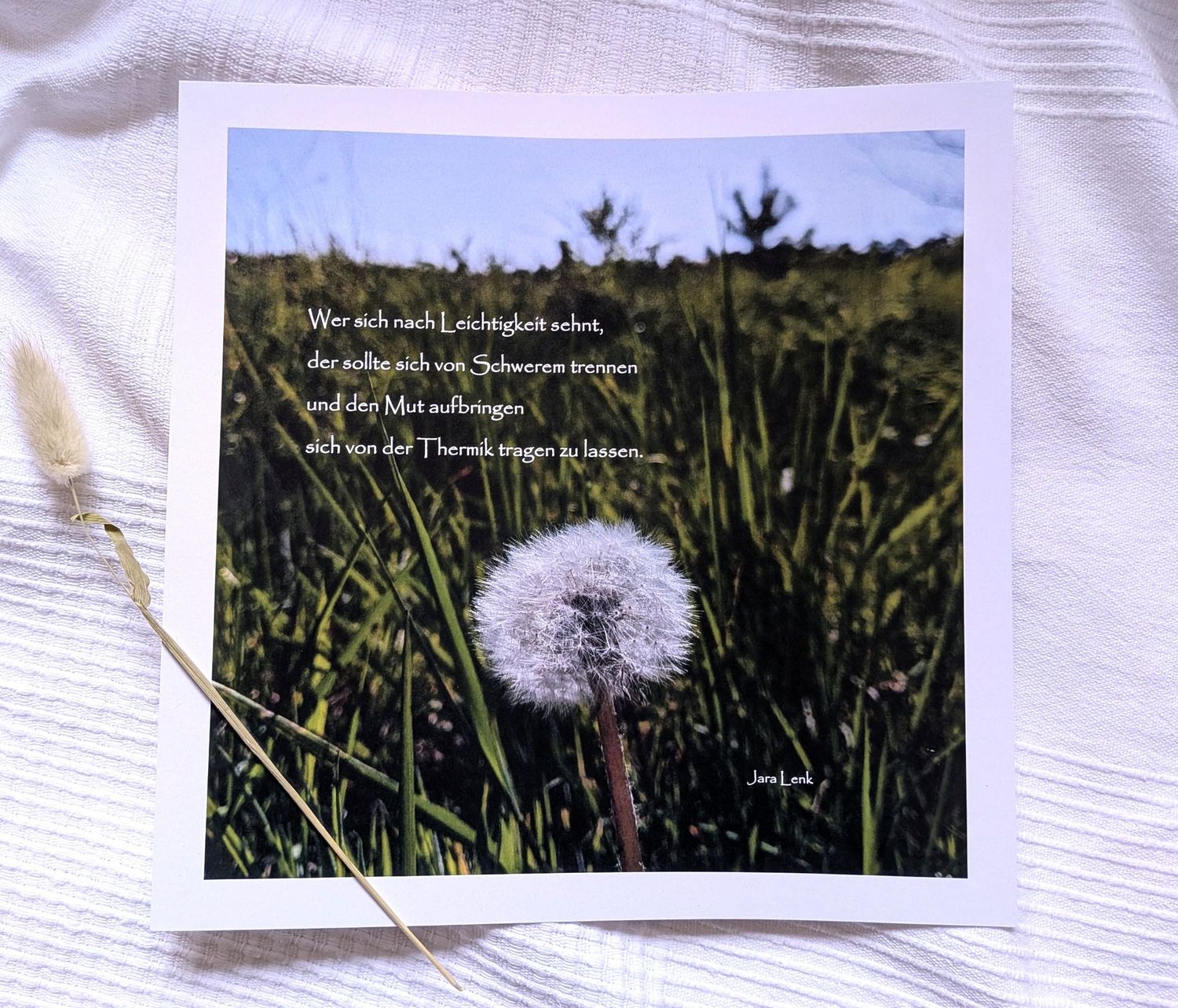 Bild 'Leichtigkeit' 25 x 25 cm