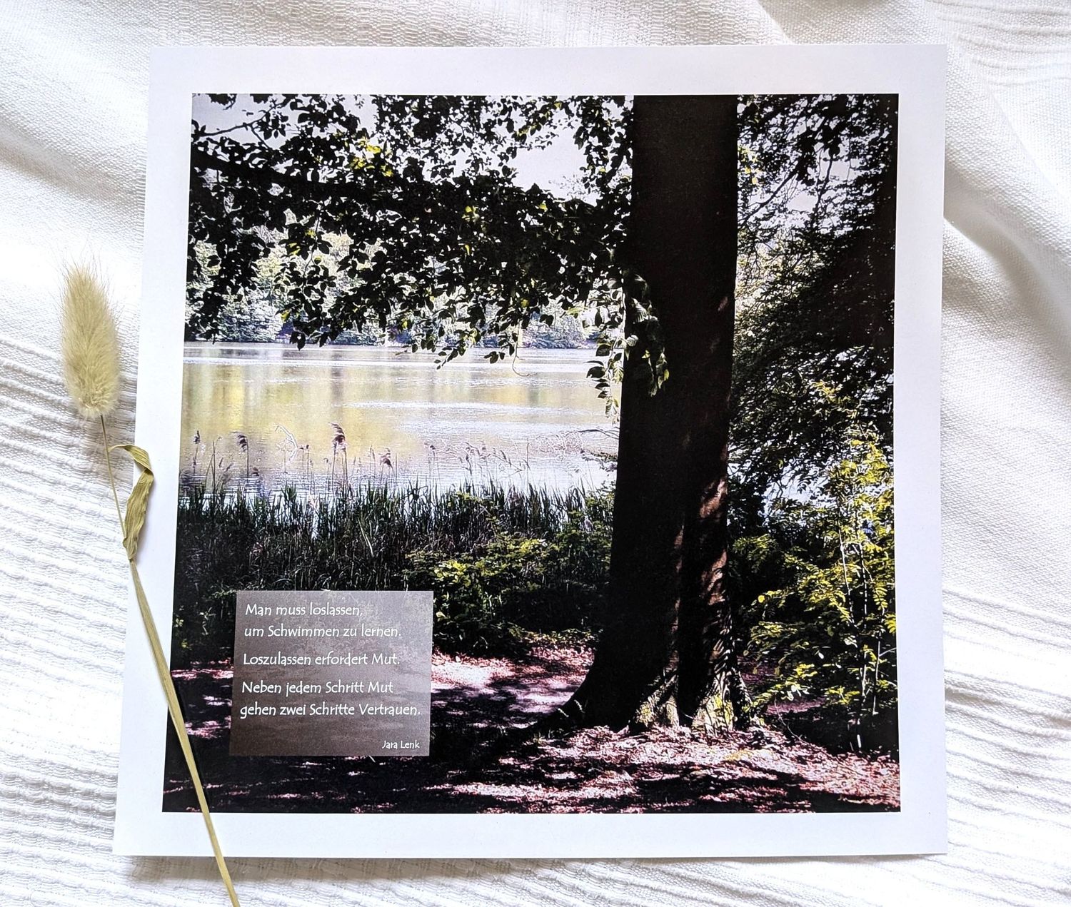 Bild 'Schwimmen und Vertrauen' 25 x 25 cm